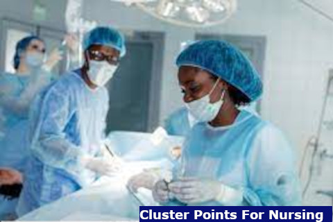 cluster points for nursing in kenya