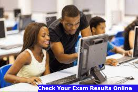 how to check exam results online